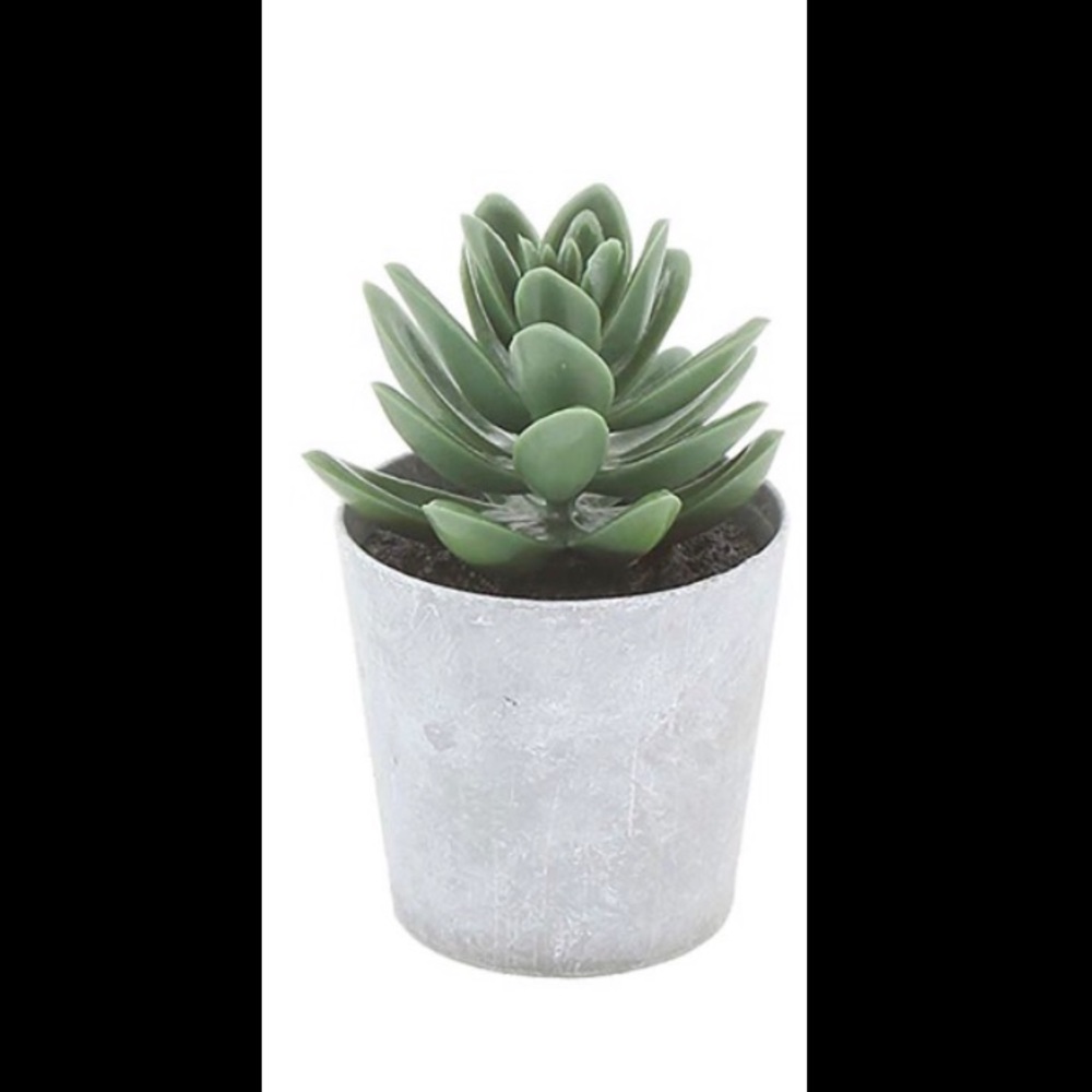 NEW Fake Cactus, Faux Cactus/Succulent, Plastic Plant, Home Decor